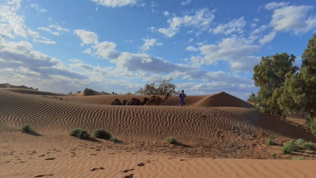 M'hamid Desert